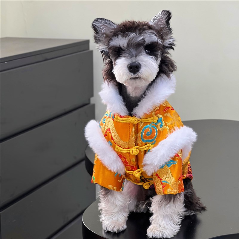 宠物复古狗狗唐装龙袍中国风冬款加厚棉衣喜庆拜年服保暖套装