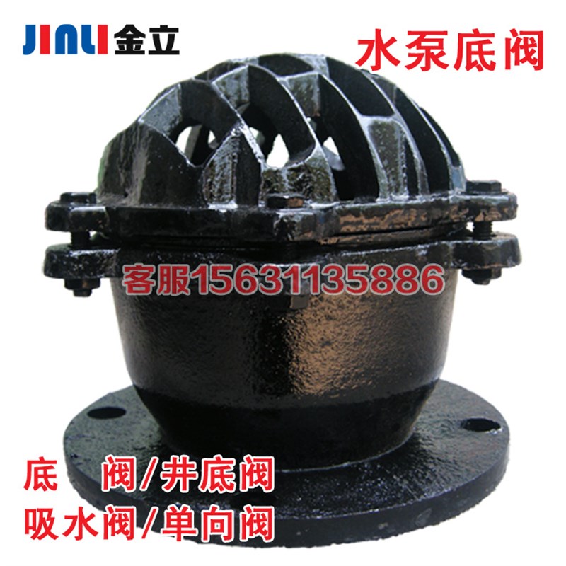 H42X-10法兰底阀止回阀 r抽水泵吸水底阀DN50 65 80 100 150 200