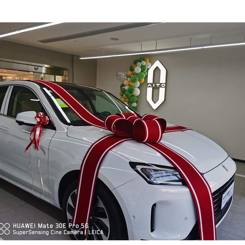 交车蝴蝶结展厅布置新提车上市交付仪式用品问界AITO蝴蝶结大红花