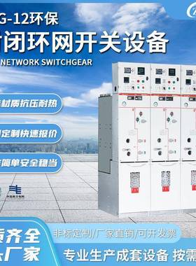 定制厂家TYG-12高压环网柜开闭所全绝缘固体环保充气柜高压开关柜