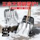 加厚钢锹除雪铲不锈钢大铲子家用粮食铲饲料玉米铲塑料大号推雪铲