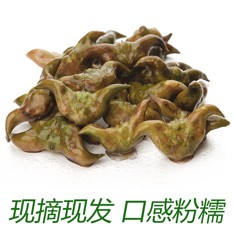 湖北新鲜菱角新鲜老菱角黑色菱角水生莲角粉糯香甜现摘现发