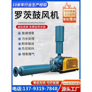 三叶罗茨鼓风机高压曝气增氧机气力输送水产养殖污水处理罗茨风机