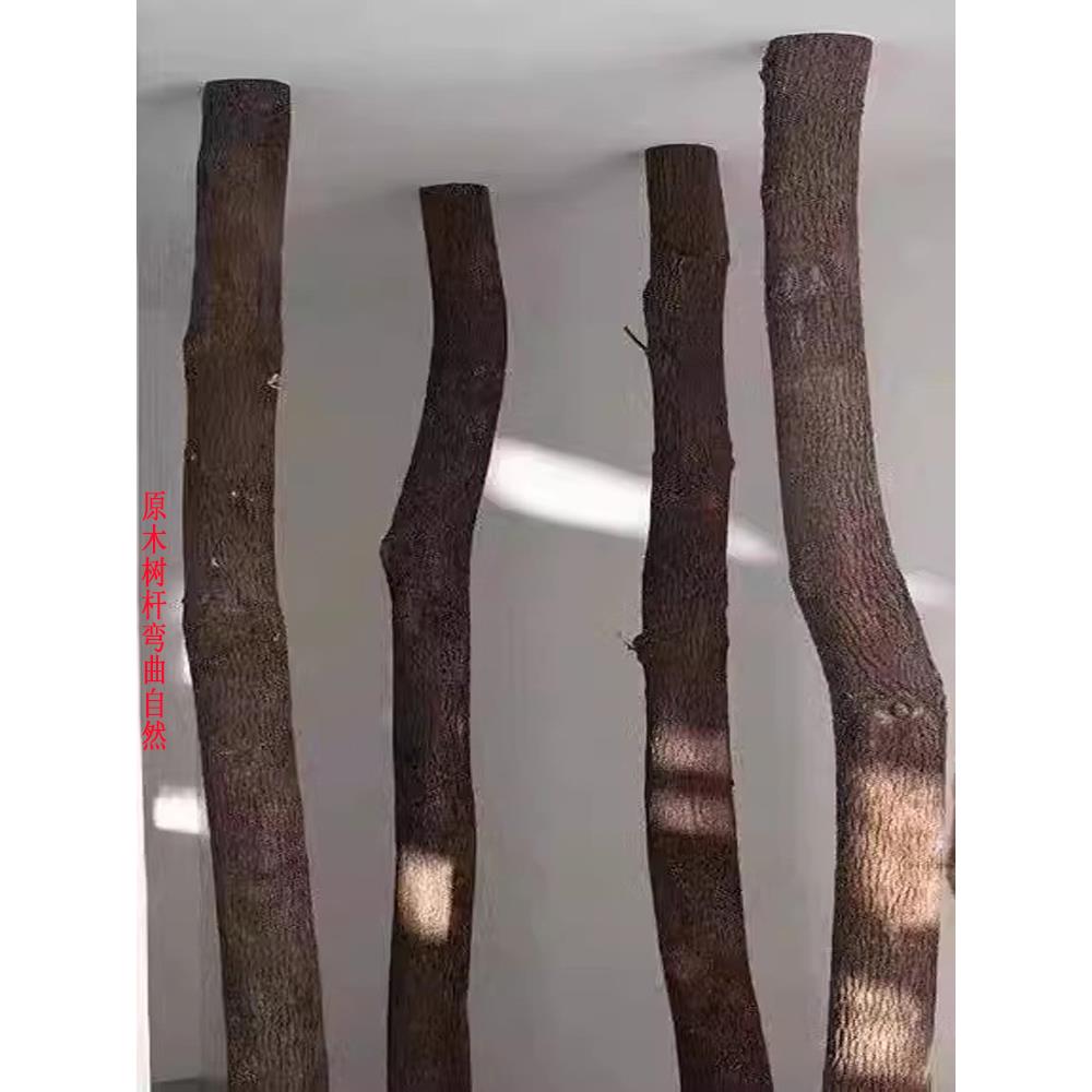 天然香樟树杆造型漫咖啡厅餐厅枯木摆件装饰橱窗造景去皮干树枝