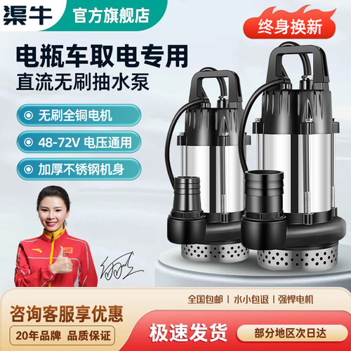 【高扬程】电动车无刷直流潜水泵