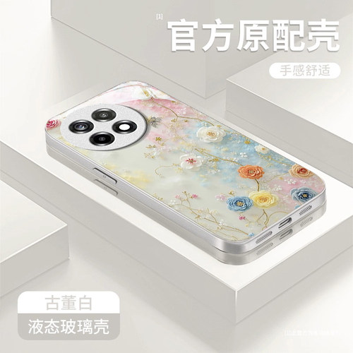 适用一加新款高级感带挂绳玻璃壳