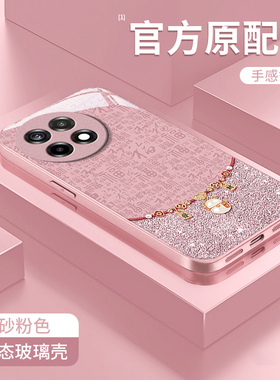 适用一加ACE5手机壳5ultra发财葫芦Ace3Pro网红爆款ace2V女新款OnePlus全包防摔1加13T玻璃壳12/11高级感小众