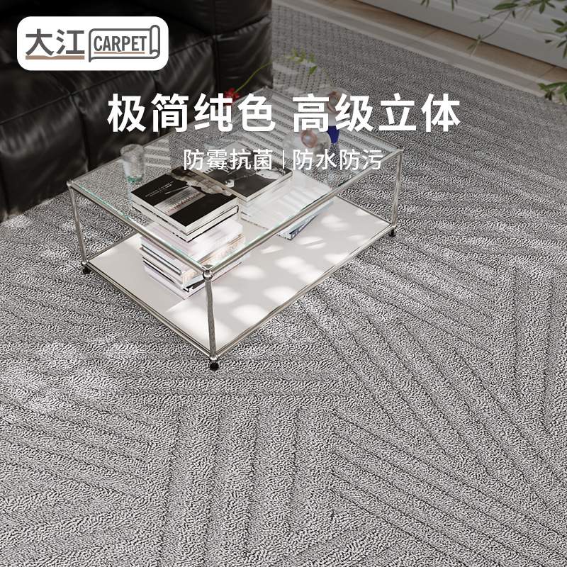浮雕硅藻丝防水抗污地毯客厅简约风轻奢高级卧室沙发素色家用耐脏