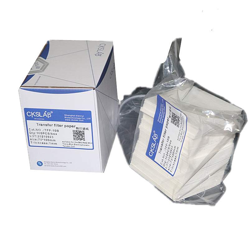 点睿CKSLAB湿转转印滤纸转膜 蛋白转印Western blot TFP-2006