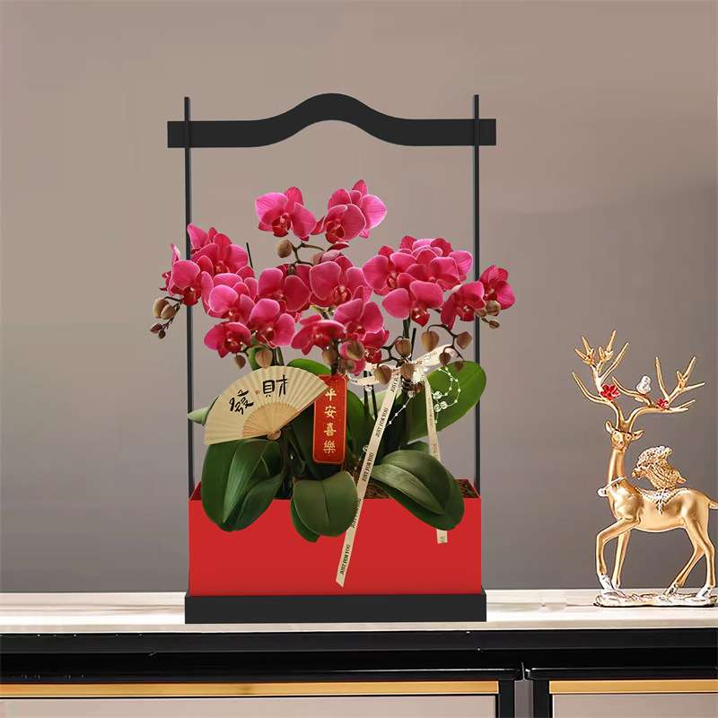 新中式花盆红色铁艺客厅桌面冬青蝴蝶兰银柳年宵花插花花器花篮