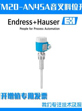 德国E+H恩德斯豪斯FTM20-AA25A一体化音叉开关