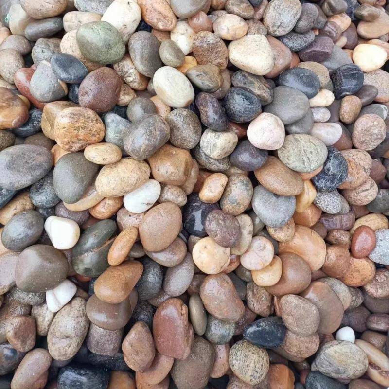 河道鹅卵石小溪石工程铺路石子水池造景变压器过滤建筑河卵石