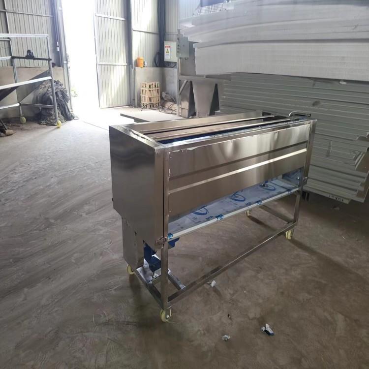 果蔬毛刷辊清洗抛光增亮机适用于红枣圆形等根果类物料清洗