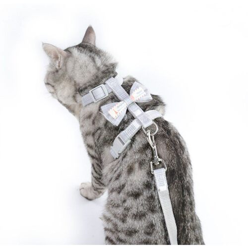 极速Pet supplies Dog Cats Leash BRope Walking Running ReadyS