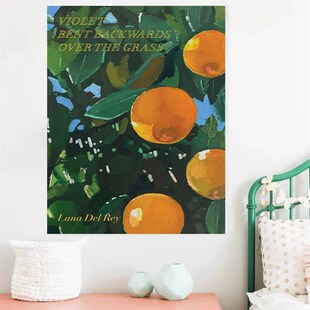 极速Lana Del Rety打雷姐诗集封面海报 卧室宿舍装饰背景拍照