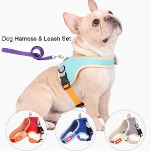 极速Reflective Pet Dog Collar LeCash Dog Harness Leashes Set