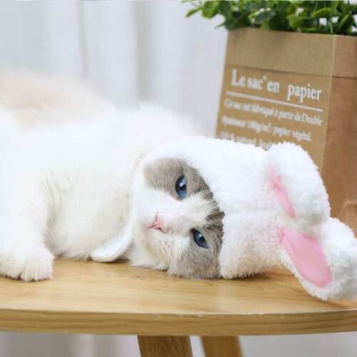 极速Cute Bunhny Pet Dog Cat Hat Funny Plush Rabbit Ears Hat