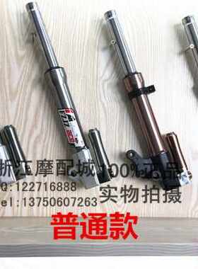 极速新摩托车配件j电动车改装前叉 福喜鬼火小龟战速 RPM27芯 前