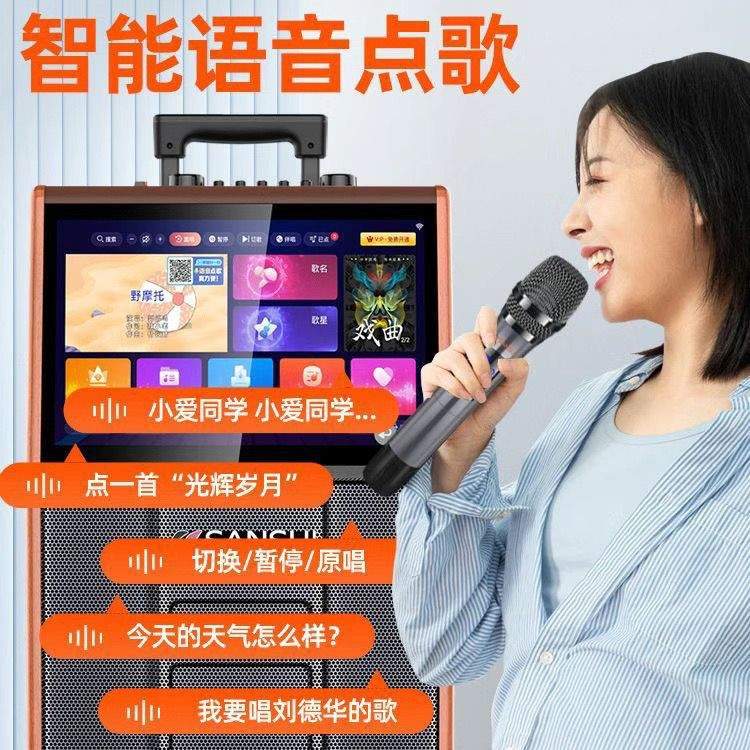 德国BOK广场舞音响大功率大屏高音质带声卡户外K歌直播家庭点歌