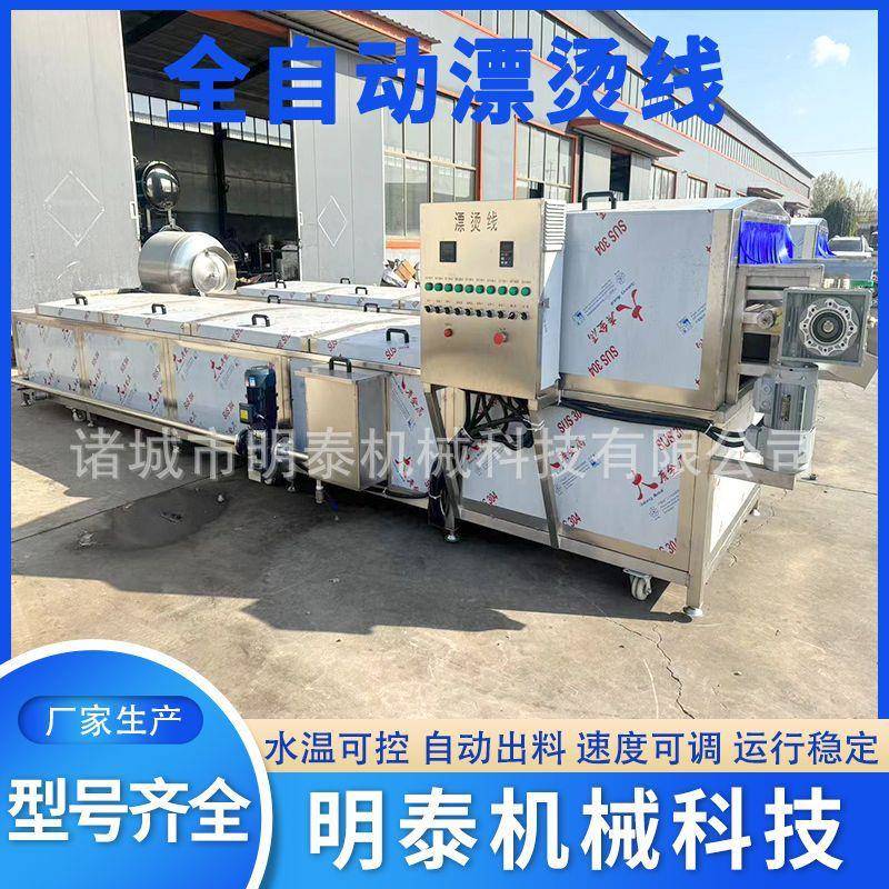 桑叶漂烫机土豆片薯条漂烫冷却线藕片竹笋杀菌护色设备预煮机