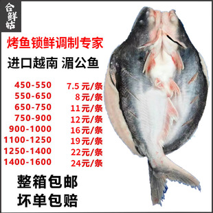 开背巴沙鱼商用烤鱼半成品巴沙鱼20斤湄公鱼真空袋整箱纸包鱼冷冻