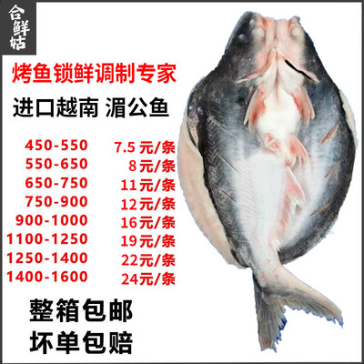 进口湄公鱼开背巴沙新鲜冷冻商用