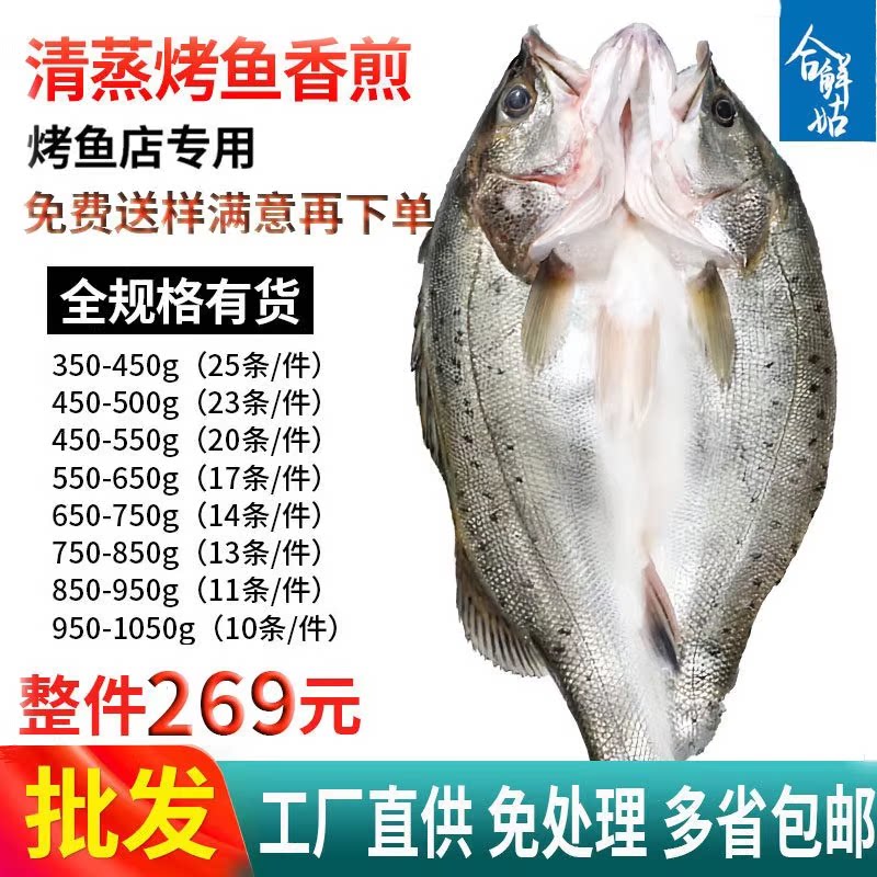 白蕉深海鲈鱼新鲜冰冻开背烤鱼半成品商用七星芦鱼卢鱼翅免杀整箱