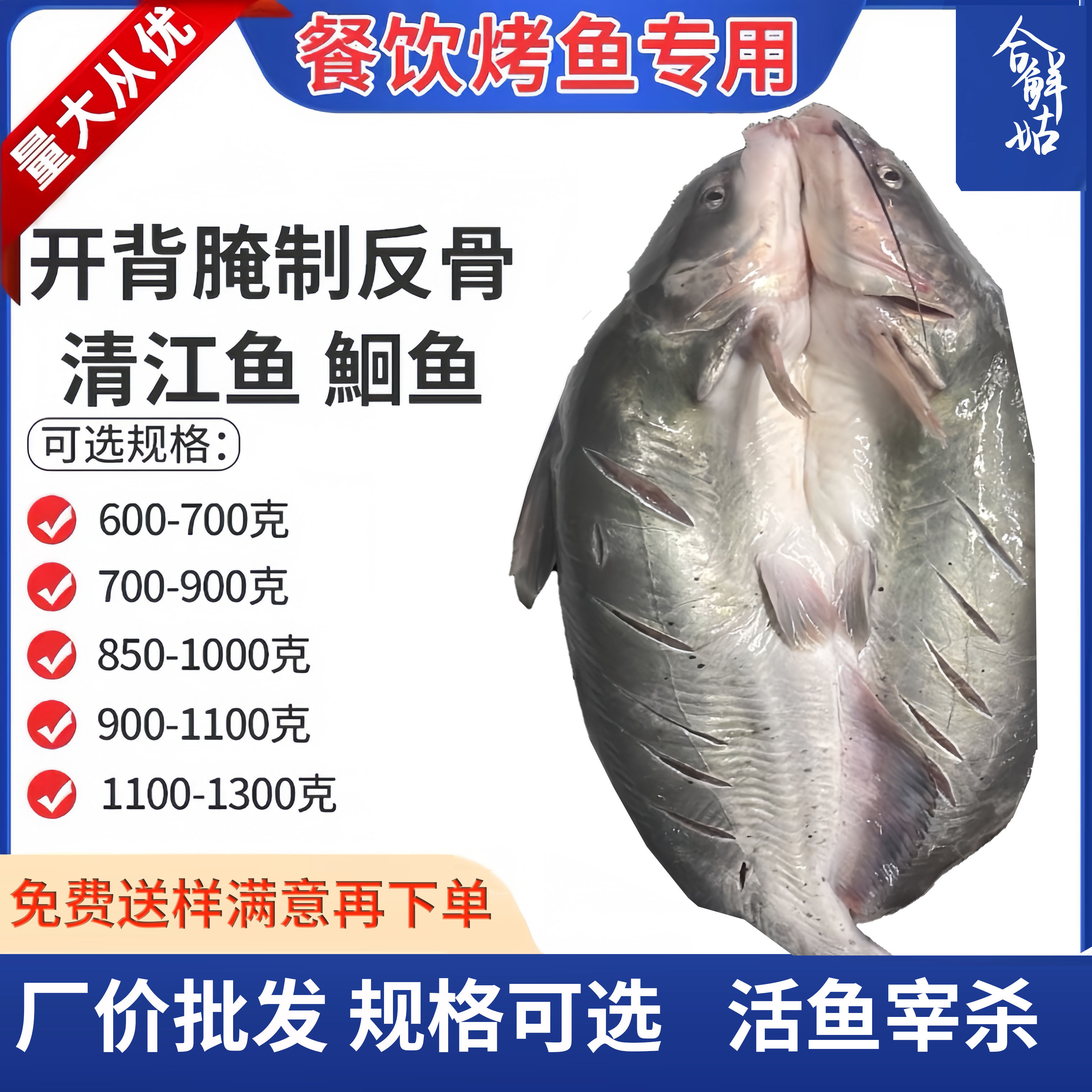 开背清江鱼商用鲜活冷冻烤鱼腌制半成品纸包鱼调味腌制鮰鱼商用