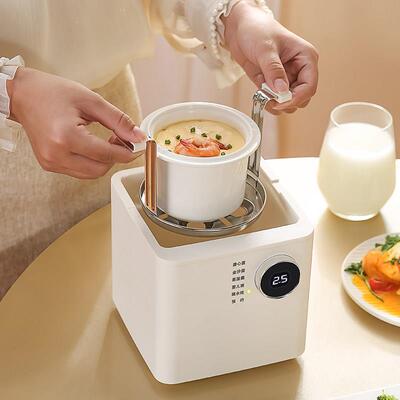 天际（家电） DDZ-7K迷你多功能隔水炖盅煲汤蒸煮鸡蛋器家用全自