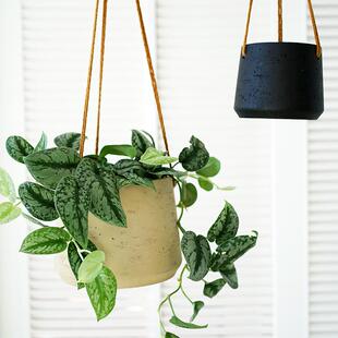 吊盆悬挂式垂吊悬挂植物挂盆挂式吊篮吊挂吊兰植物挂篮花盆悬吊