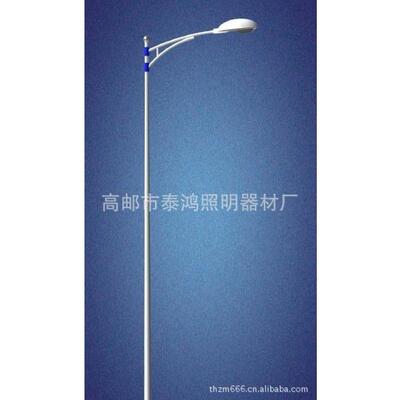 7米路灯、7米-15米道路灯生产厂家用泰鸿