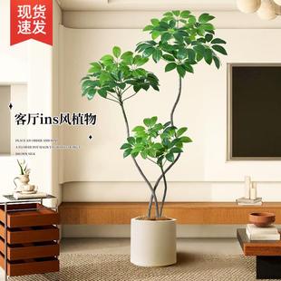 仿真绿植大叶伞室内客厅大型盆栽高端轻奢仿生假树植物摆件