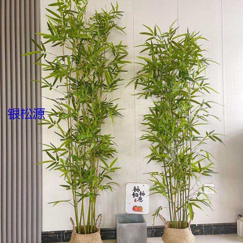 仿真竹子室内装饰假竹子隔断屏风挡墙造景室外装饰竹盆栽加密绿植,农机/农具/农膜,播种栽苗器/地膜机,淘宝优惠券,粉丝福利购,淘宝优惠卷