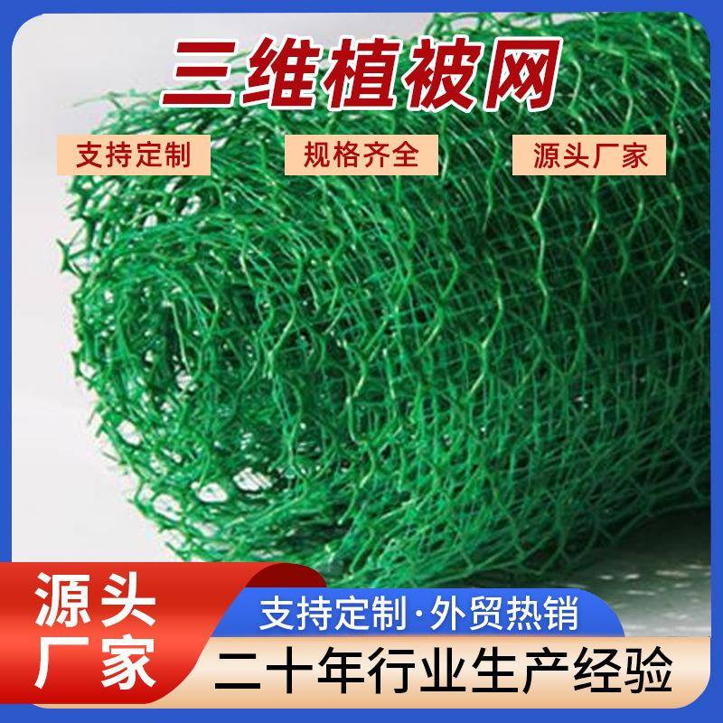 三维植被网聚乙烯EM2EM3园林绿化护坡用三维复合绿色土工网