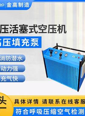 高压潜水自动启停空压机30mpa气瓶显示屏空气填充泵设备压缩泵