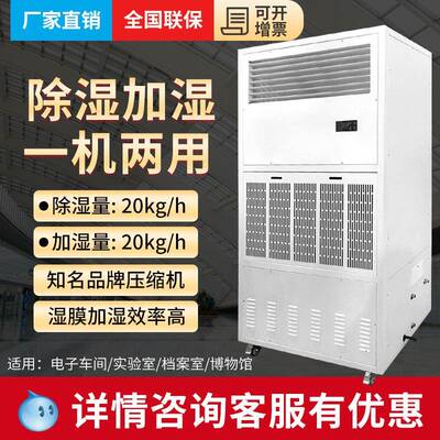 BLZ20HS恒湿机除湿机加湿一体机高低温试验箱试验机恒湿空调