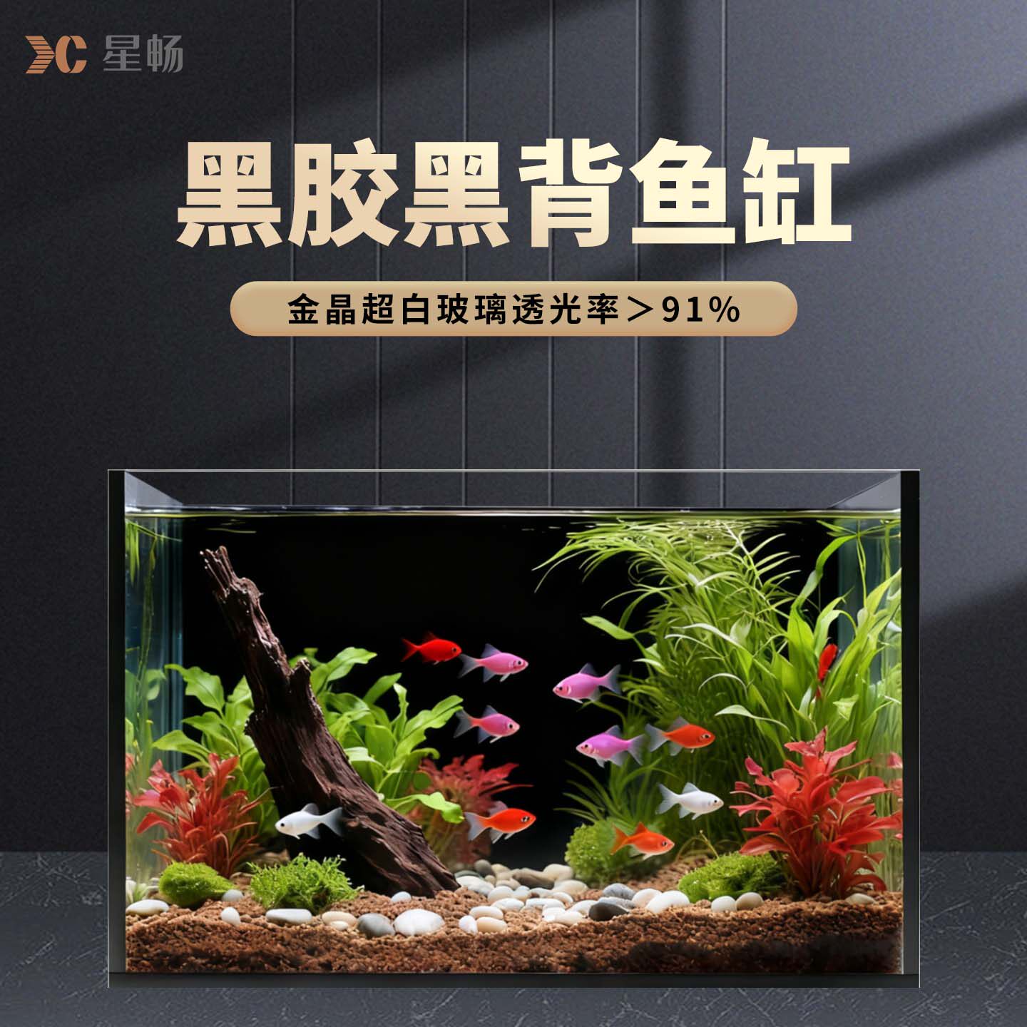 星畅黑胶黑背丝印金晶超白玻璃黑色背景办公室家用氛围生态小鱼缸
