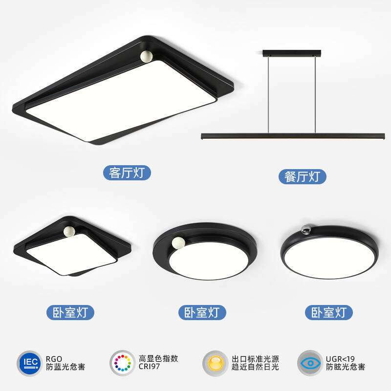 意式极简吸顶灯客厅主灯led黑色大气创意简约创意护眼主卧房间灯