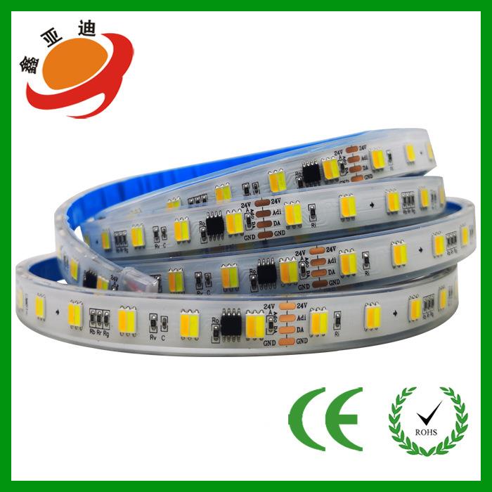 四线5050双色温DMX512LED灯带低压24v12mm宽60灯正暖白室外装饰灯