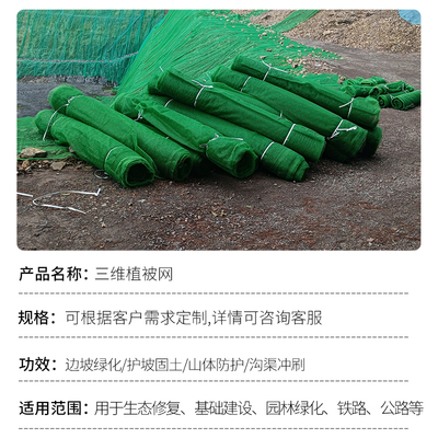 三维植被网绿化植草网边