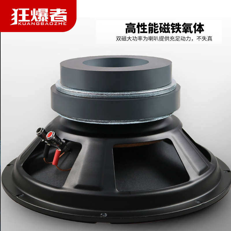 包邮狂爆者8寸10寸12寸低音喇叭卡包音箱双磁大功率KTV包房专用