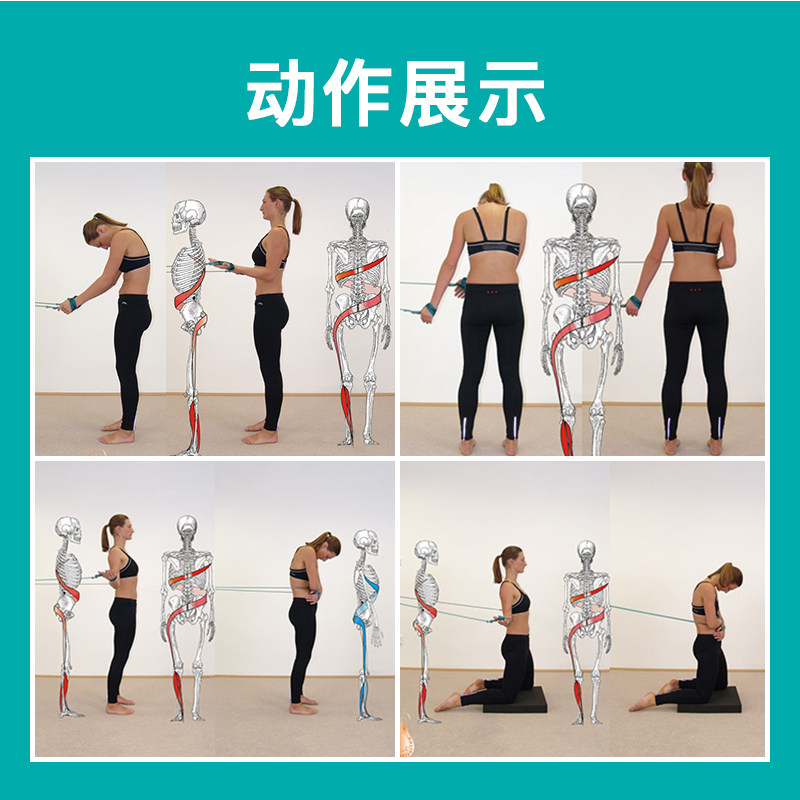 进口螺旋肌肉链训练绳稳定弹力绳子捷克初阶训练带脊柱康复拉力绳