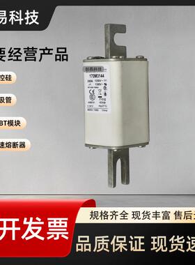 170M3118 170M3119 170M3120 170M3121 170M3122 170M3123保险丝.