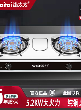 煤气灶双灶家用台式液化气双头天然气燃气灶老式双眼节能猛火炉具