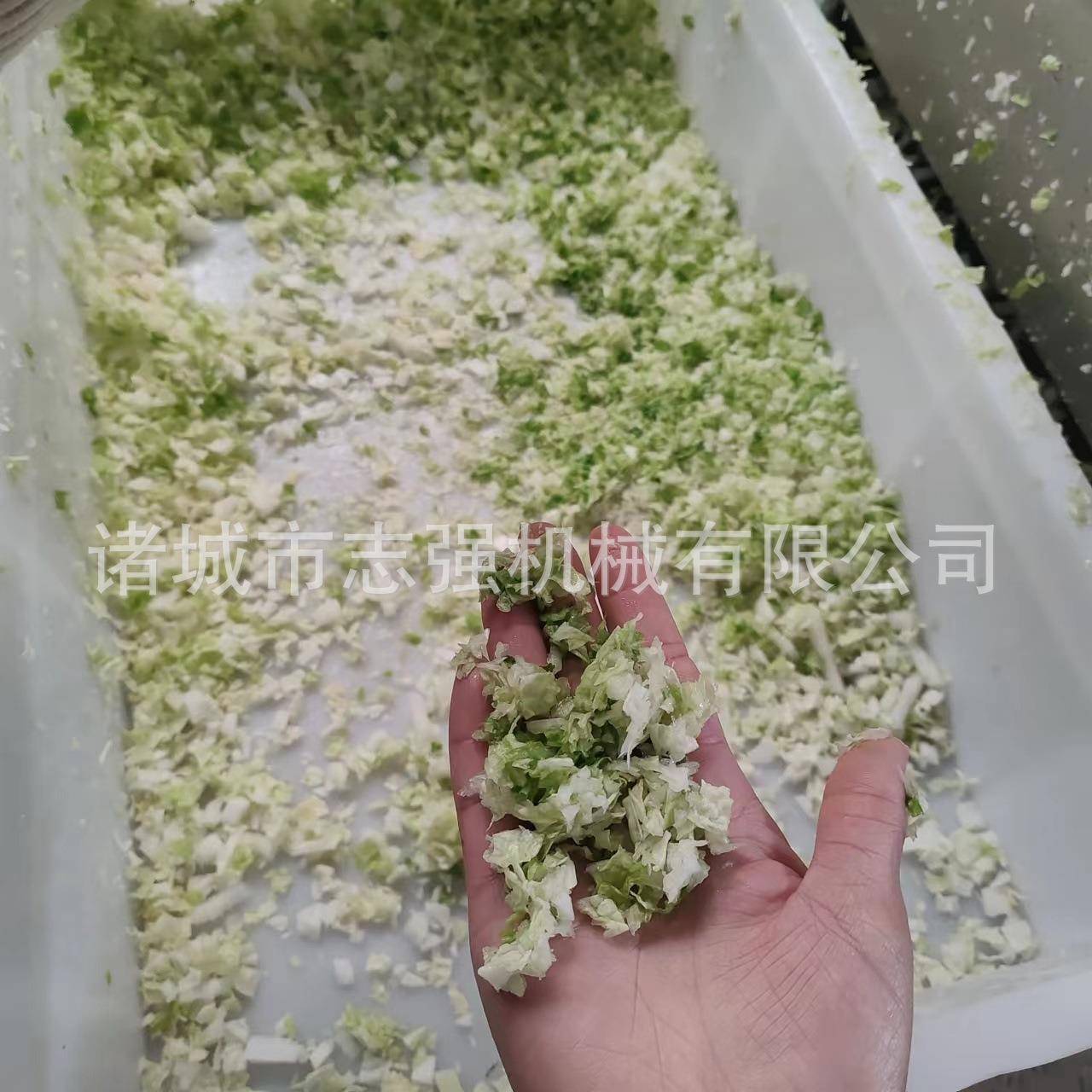 商用腌制豆角韭菜切段机酱腌菜白菜卷心菜切丝设备鲜黄瓜切片机