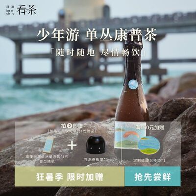浔岚看茶少年游单丛乌龙康普茶