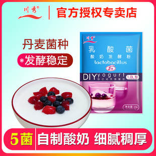 川秀乳酸菌自制酸奶发酵菌粉家用益生菌发酵剂发酵粉酵母进口菌种