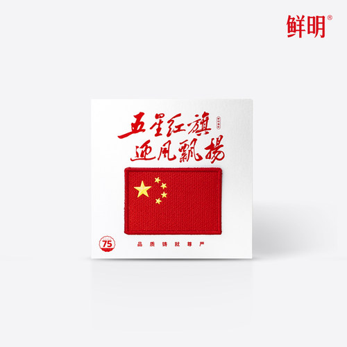 鲜明高品质国旗魔术贴臂章