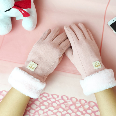 手套秋冬天女加绒保暖防寒