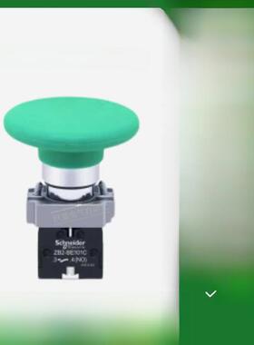 施耐德绿色按钮大蘑菇头Xb2Br31C开始停止60mm自覆位开关红色R42C